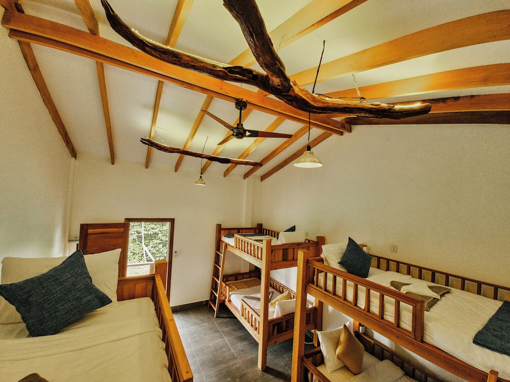 Deluxe Shared Dormitory, Mountain View photo 2
