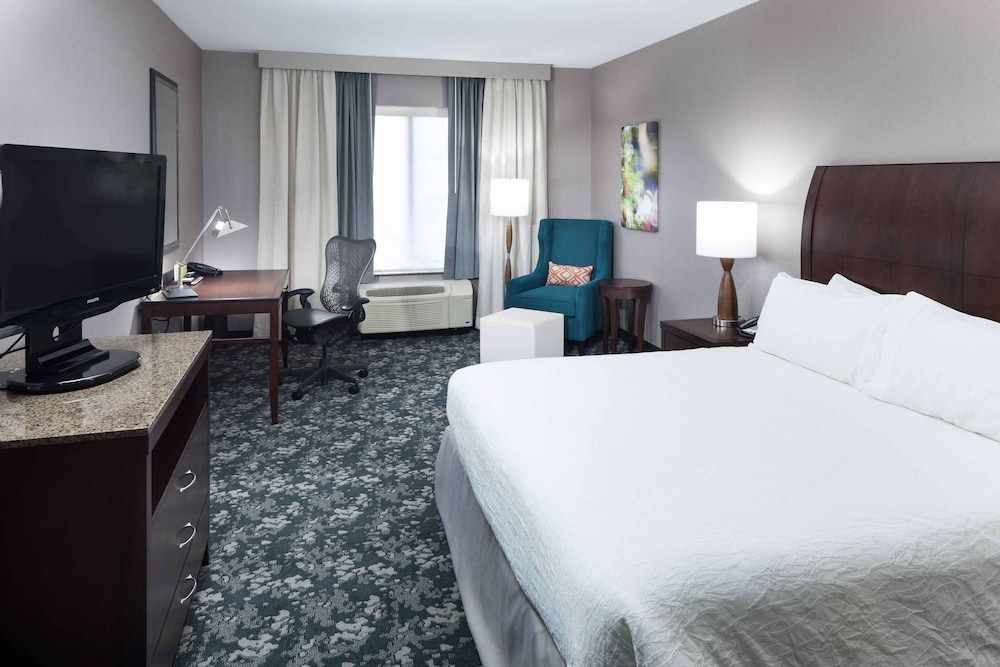 Room, 1 King Bed (Drinks/Snacks) photo 1