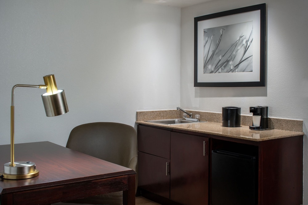 Suite, 1 Bedroom - Photo 8