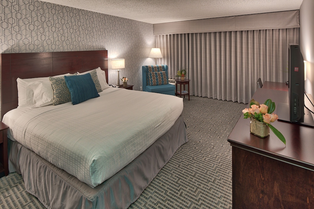 Deluxe Room, 1 King Bed - Photo 1