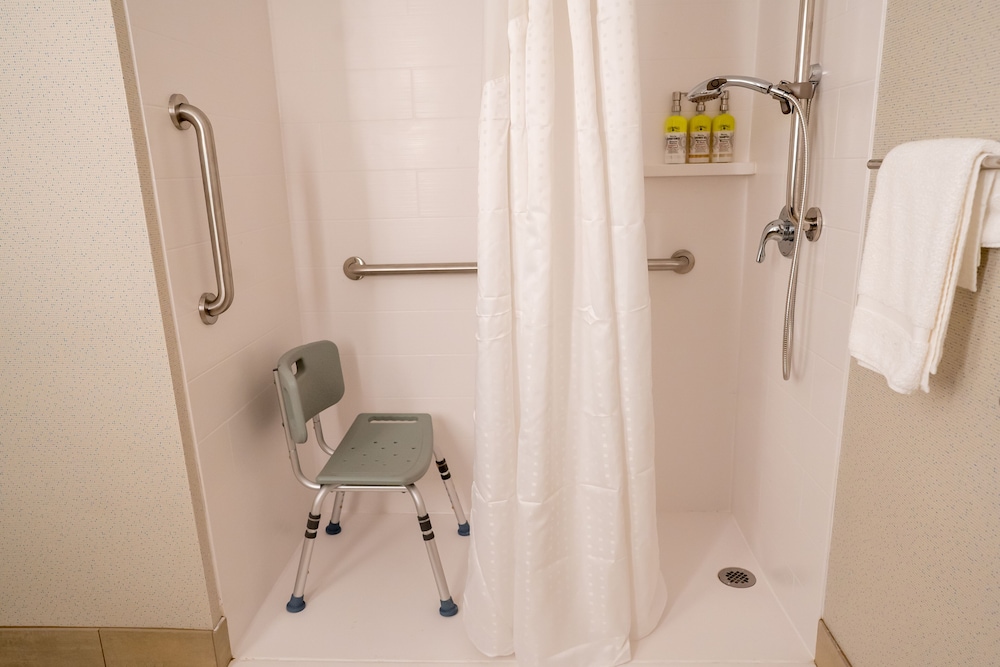 Standard Room, 1 King Bed, Accessible (Mobil Roll In Shwr) thumbnail 6