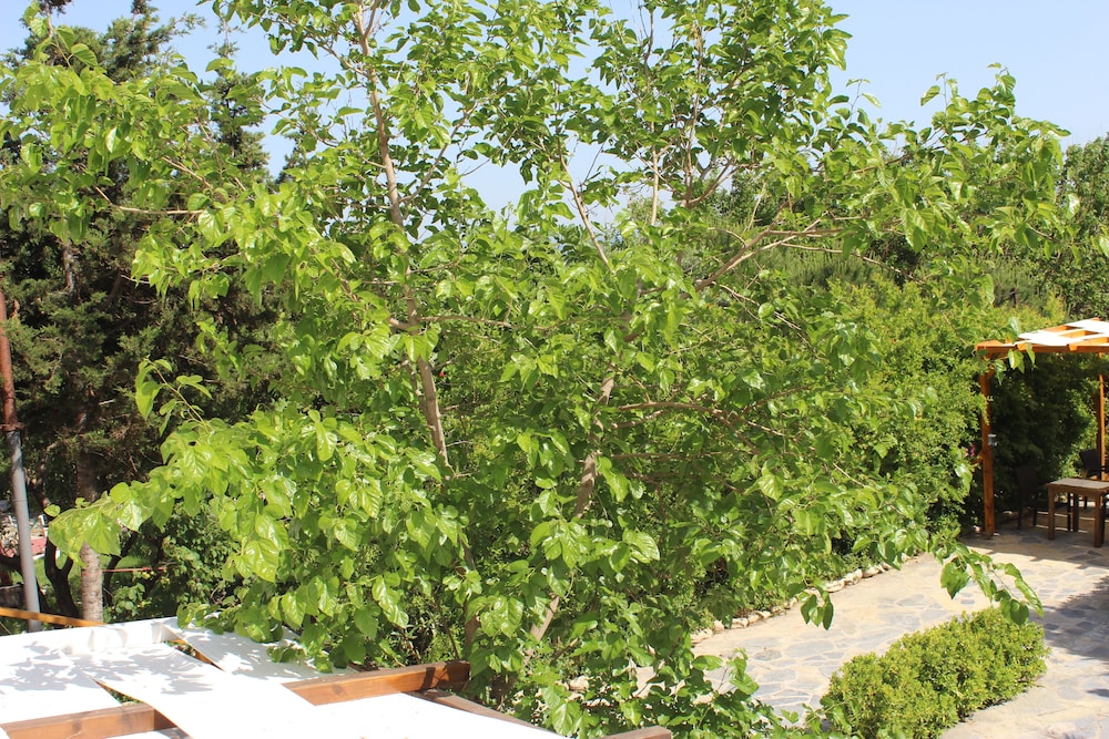 Standard Double Room, Garden View photo 3