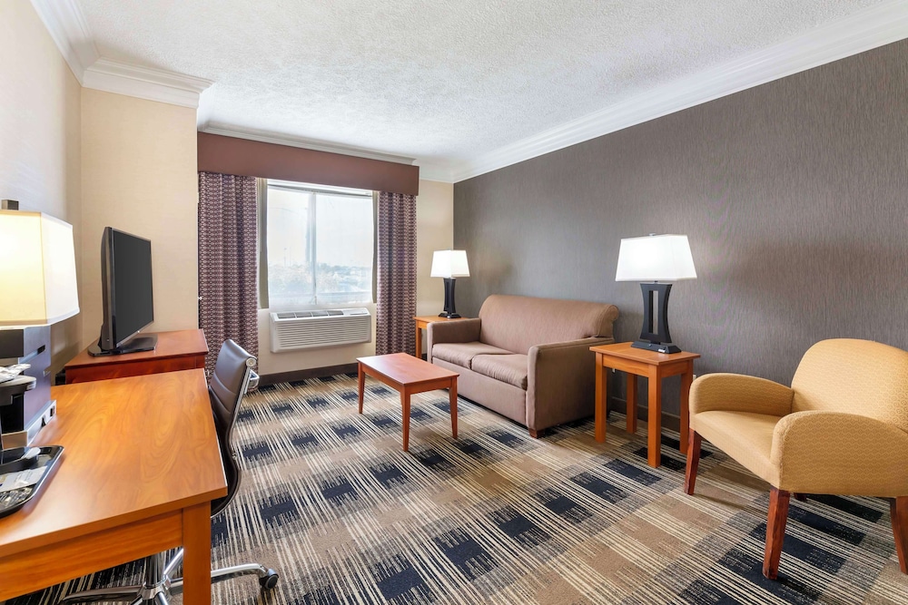 Suite, 1 King Bed, Non Smoking, Refrigerator (With Sofabed)