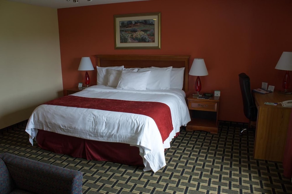 Standard Room, 1 King Bed photo 1
