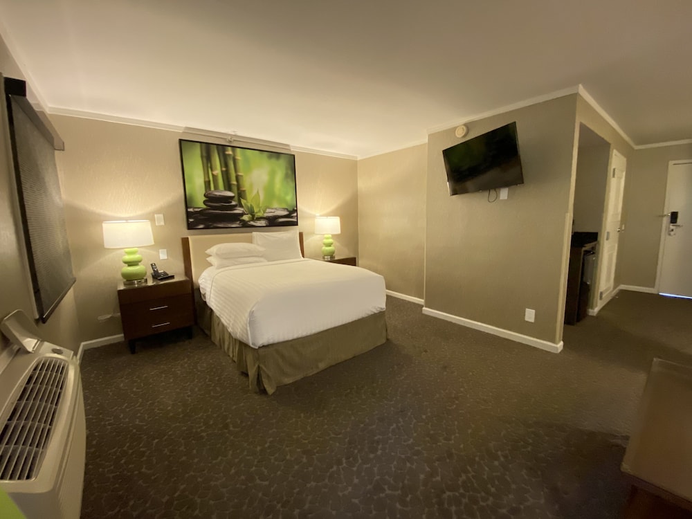 Room, 1 Double Bed, Accessible - Photo 2