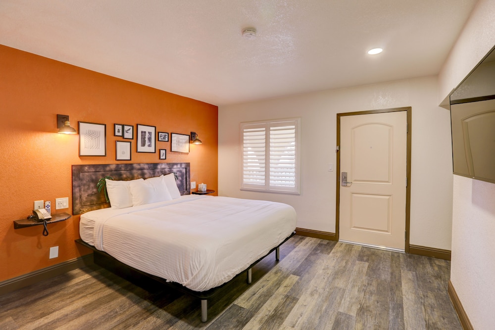 Basic Room, 1 King Bed, Non Smoking photo 2