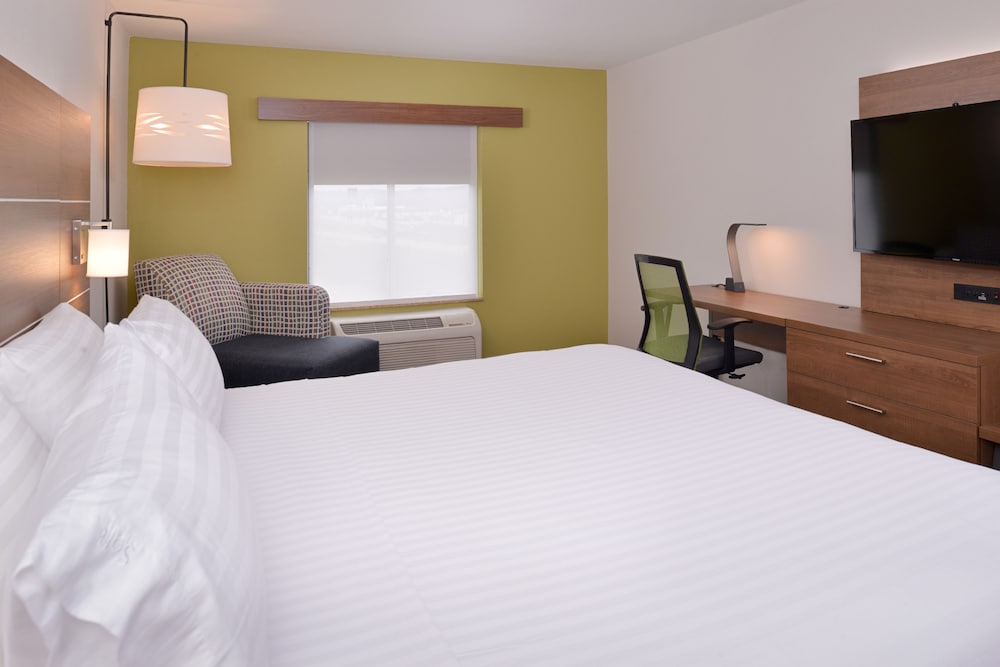 Suite, 1 King Bed with Sofa bed