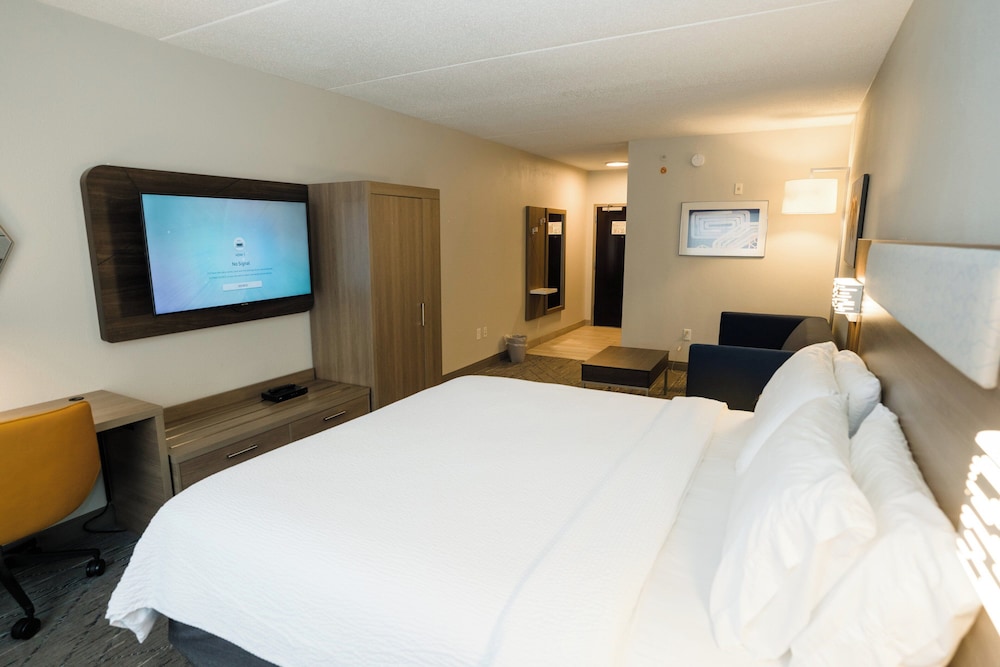 Suite, 1 King Bed photo 3