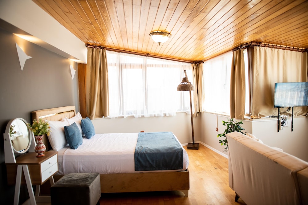 Panoramic Studio Suite photo 3
