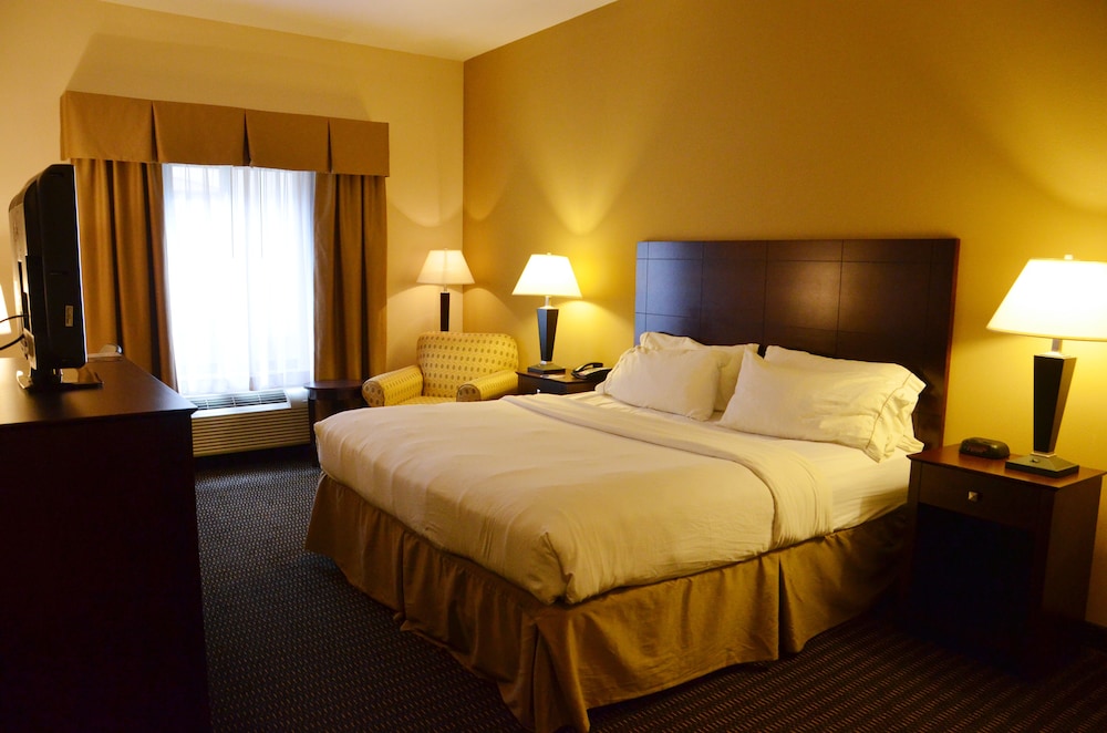 Standard Room, 1 King Bed with Sofa bed, Accessible (Comm, Mobil, Accessible Tub) - Photo 1