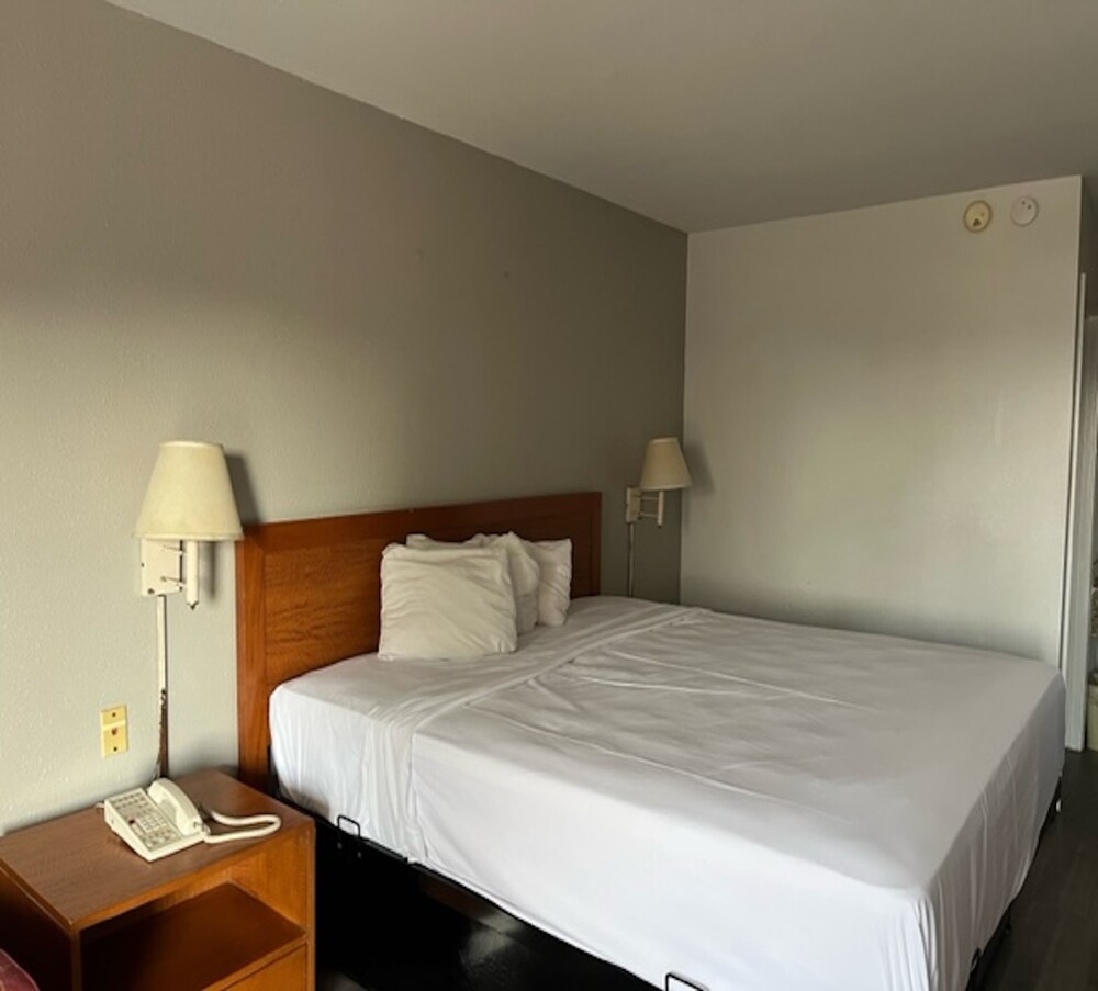 Deluxe Room, 1 King Bed, Non Smoking, Refrigerator & Microwave - Photo 3