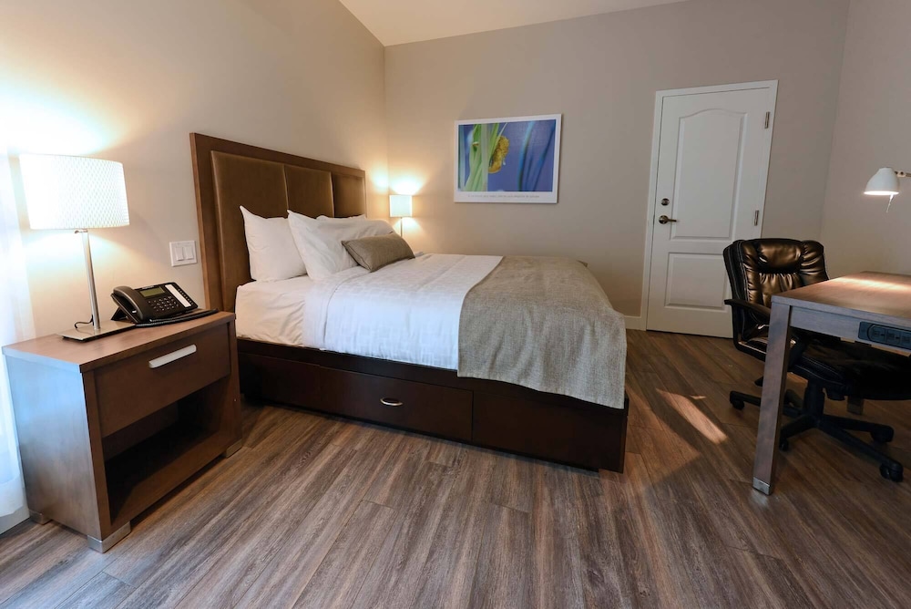 HOTEL - Economy Room, 1 Queen Bed, Courtyard View - Photo 1