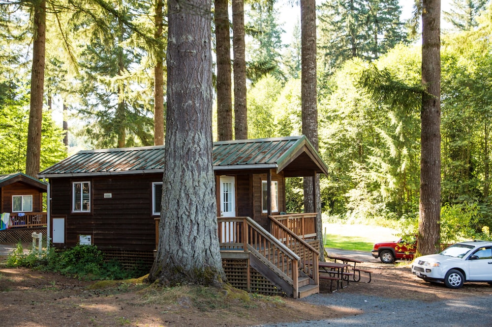 Cabin, Kitchenette (Linens Not Included, Pets Allowed) photo 2
