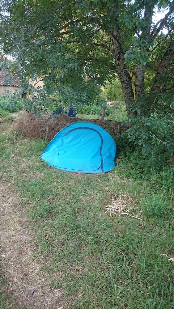Classic Tent photo 2