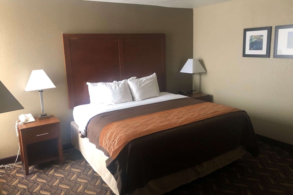 Studio Suite, 1 King Bed, Non Smoking - Photo 1
