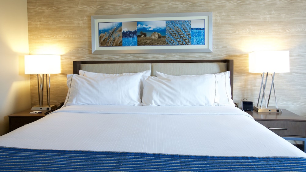 Standard Room, 1 King Bed, Accessible (Hearing) photo 1