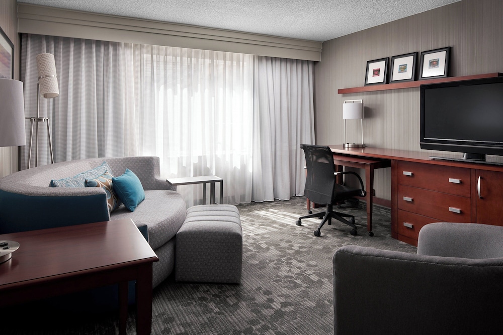 Suite, 1 Queen Bed with Sofa bed