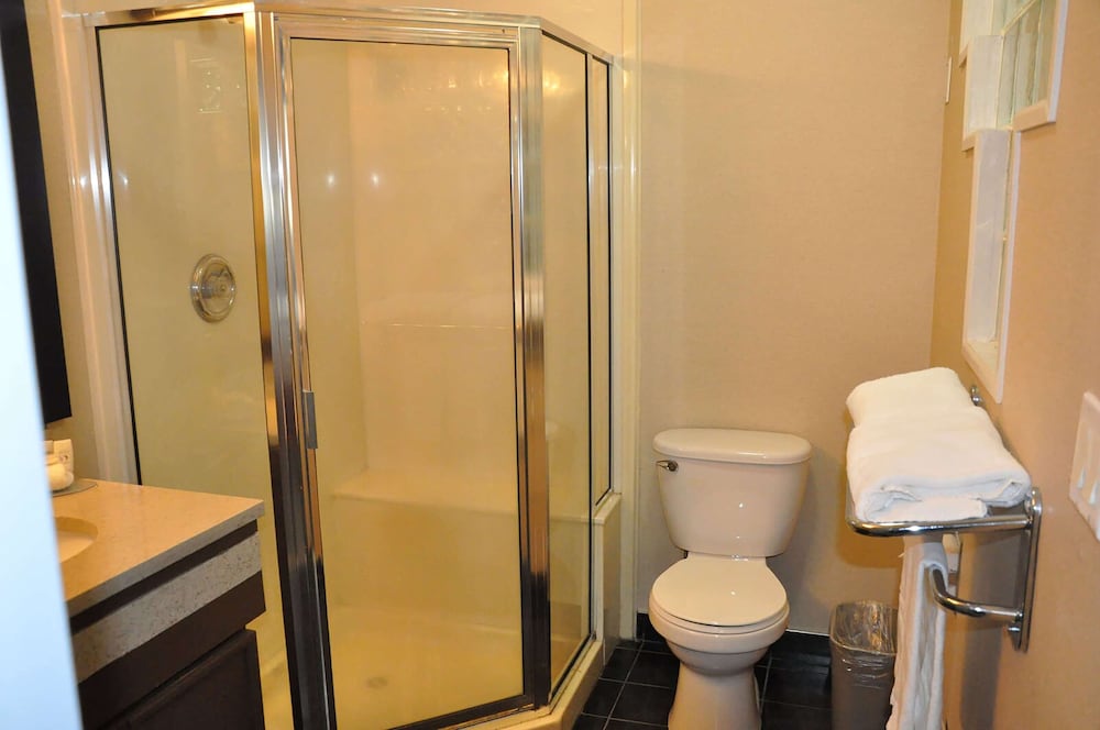 Studio Suite, 1 King Bed, Non Smoking - Photo 5