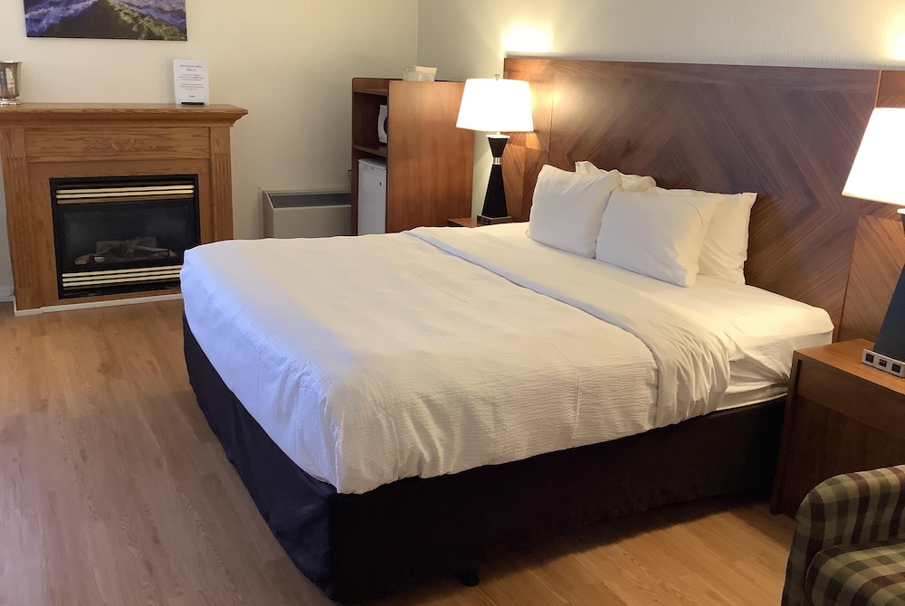 Studio Suite, 1 King Bed, Non Smoking, River View - Photo 1