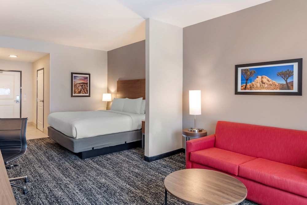 Suite, 1 King Bed, Accessible, Refrigerator & Microwave (with Sofabed) - Photo 3