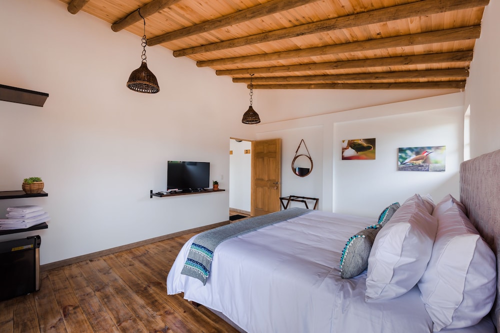 Room, 1 King Bed, Terrace, Mountain View