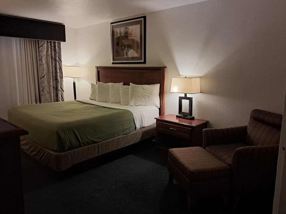Standard Single Room photo 1