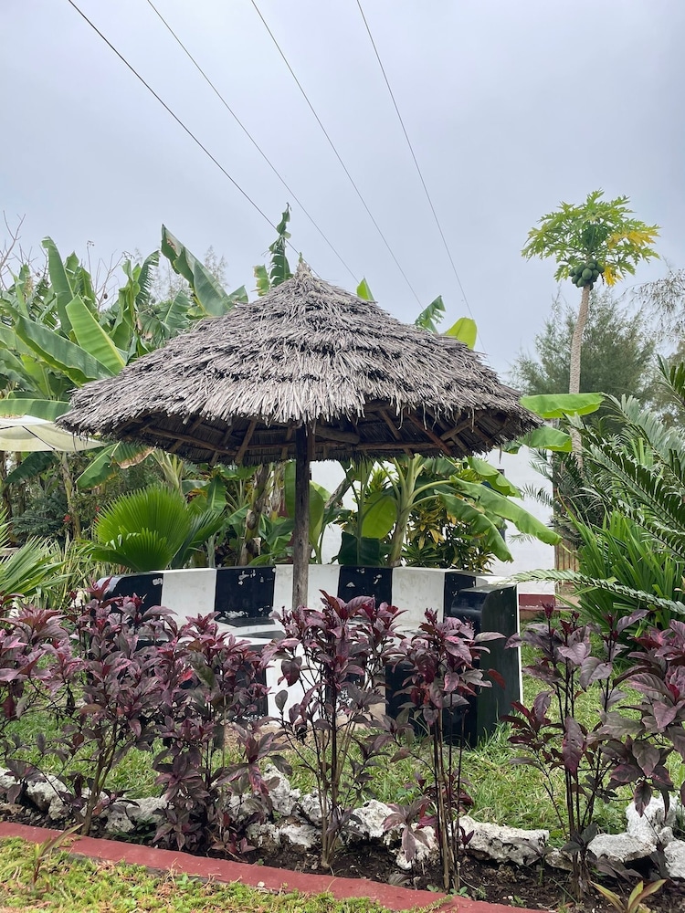 Exclusive Double Room, 1 Bedroom, Garden View