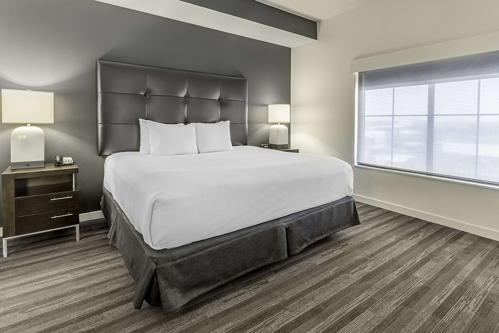 Studio Suite, 1 King Bed with Sofa bed, Accessible, Bathtub (Accessible) photo 1