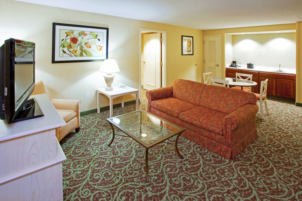 Suite, 1 King Bed with Sofa bed - Photo 3