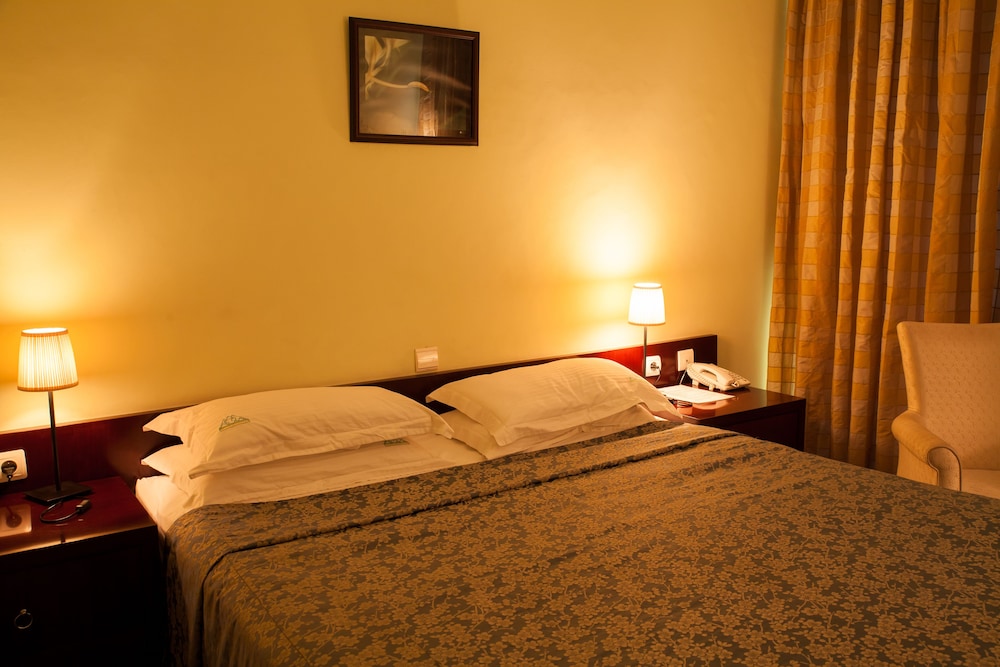 Deluxe Double Room photo 3