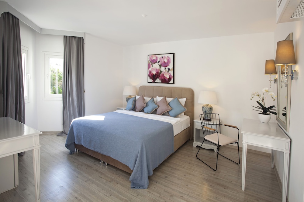Deluxe Double Room photo 1