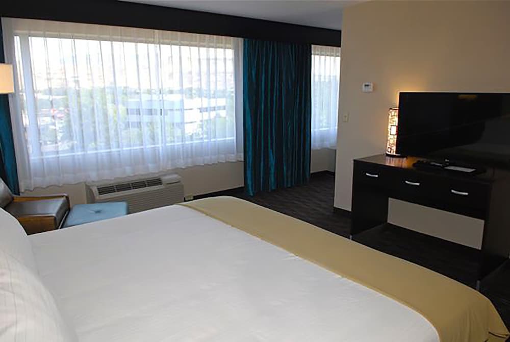 Suite, 1 King Bed - Photo 1