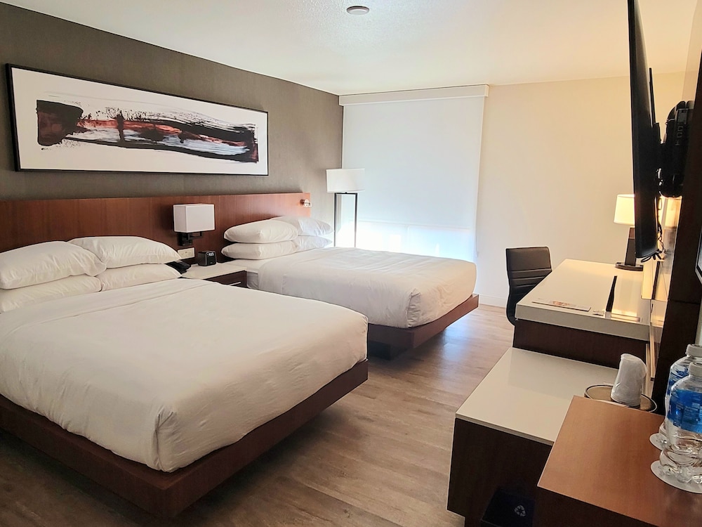 Executive Room, 1 King Bed - Photo 5