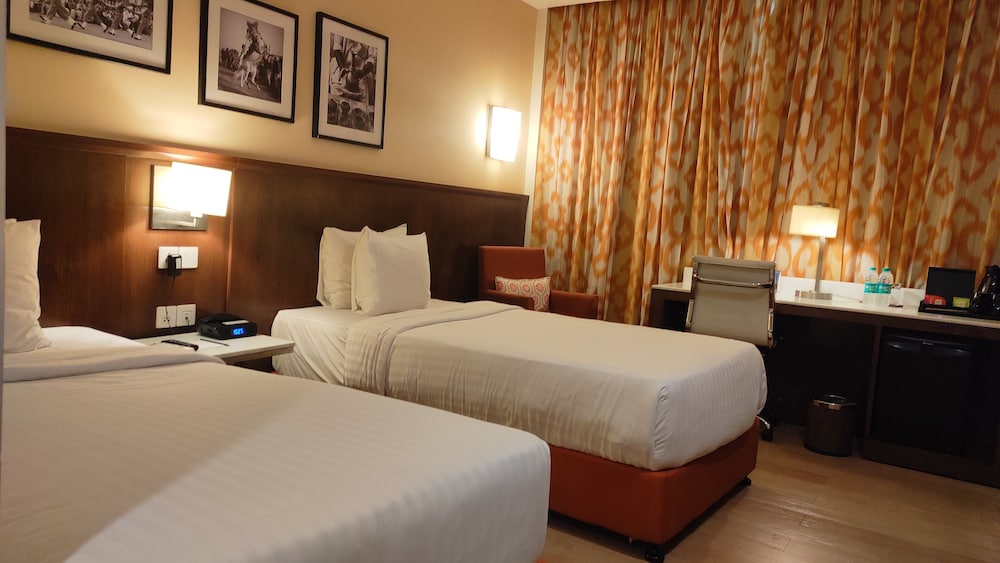 Room, 1 Twin Bed