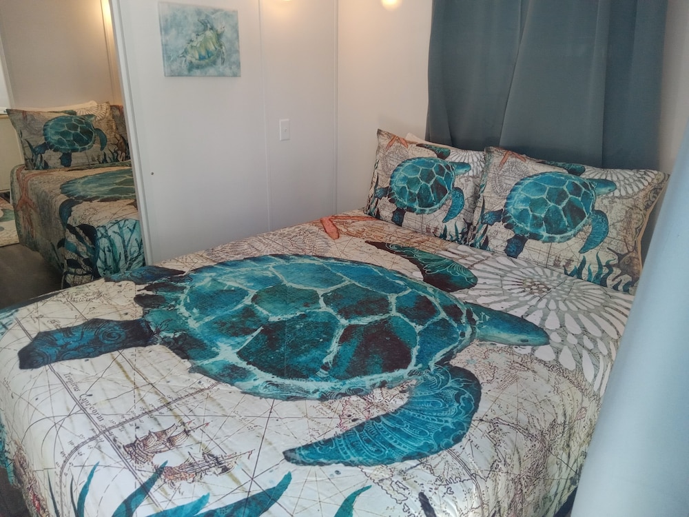 Standard Single Room photo 2