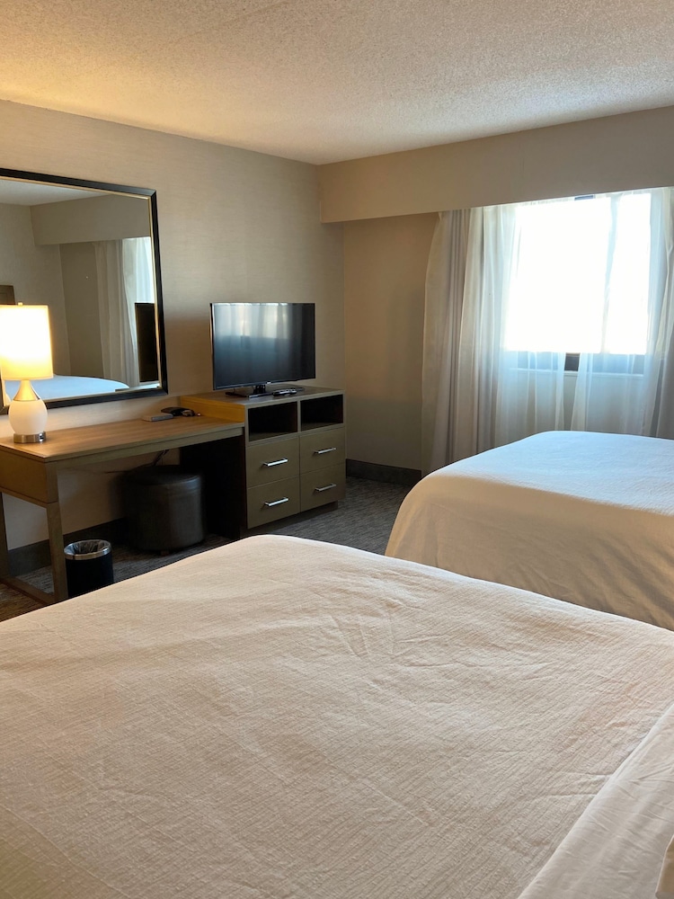 Executive Suite, 2 Double Beds - Photo 2