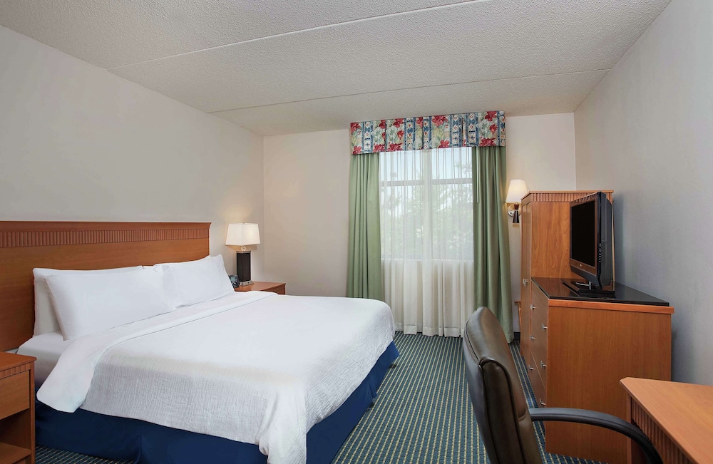 Room, 1 King Bed With Sofa Bed, Non Smoking photo 3