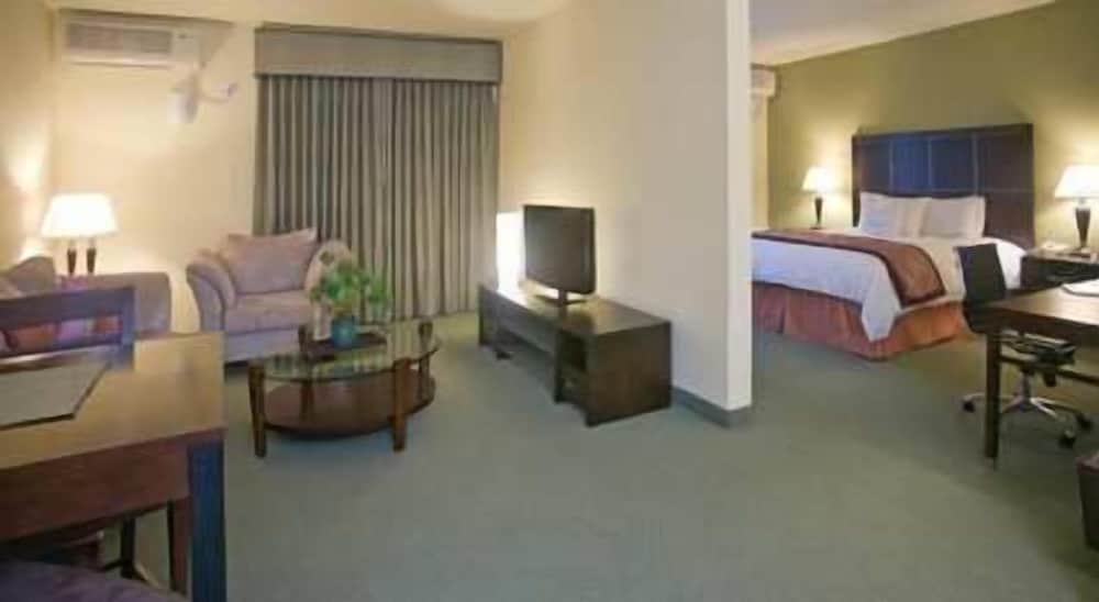 Junior Suite, 1 King Bed, Non Smoking