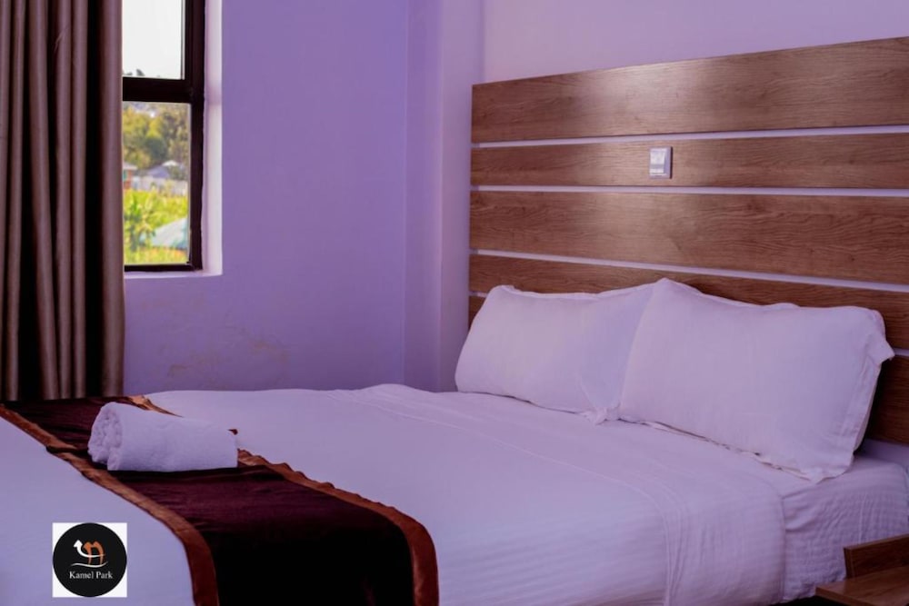 Deluxe Room photo 2