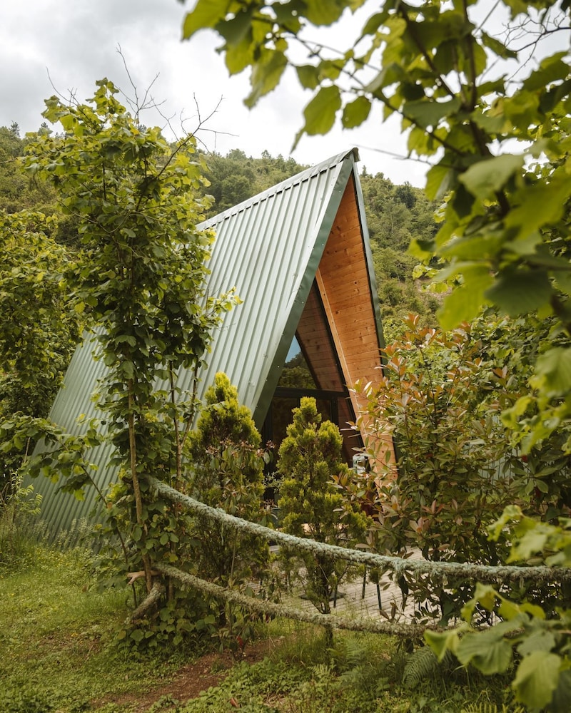 Classic Tree House photo 3