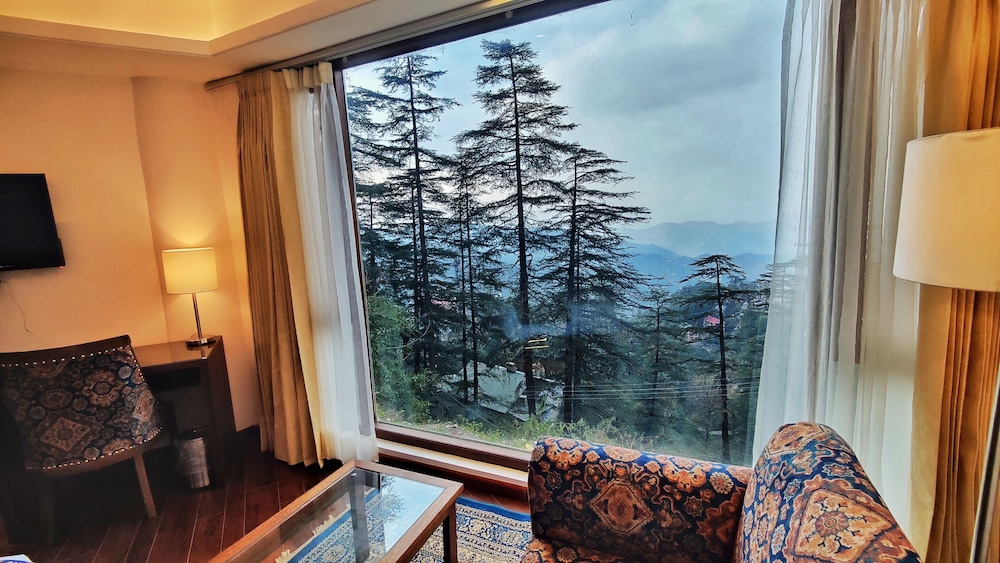 Executive Studio Suite - Photo 15