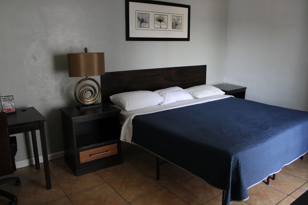 Single Room, 1 King Bed, Non Smoking photo 3