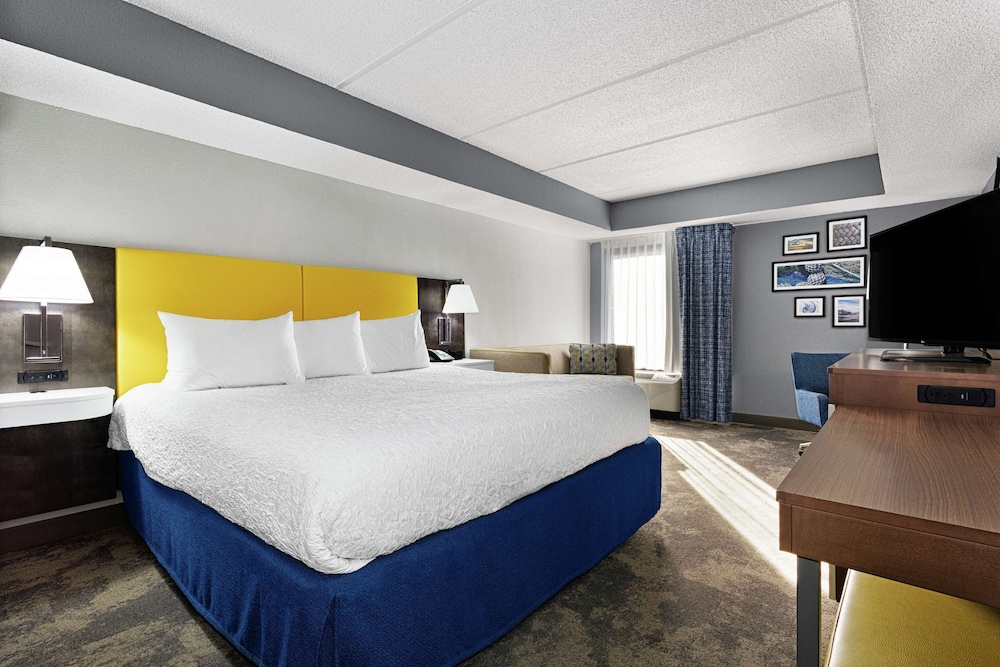 Room, 1 King Bed with Sofa bed, Accessible (Hearing Impaired With Shower) - Photo 4