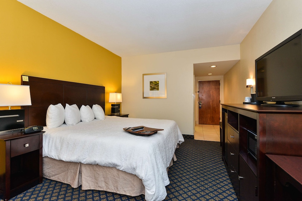 Room, 1 King Bed, Non Smoking - Photo 4