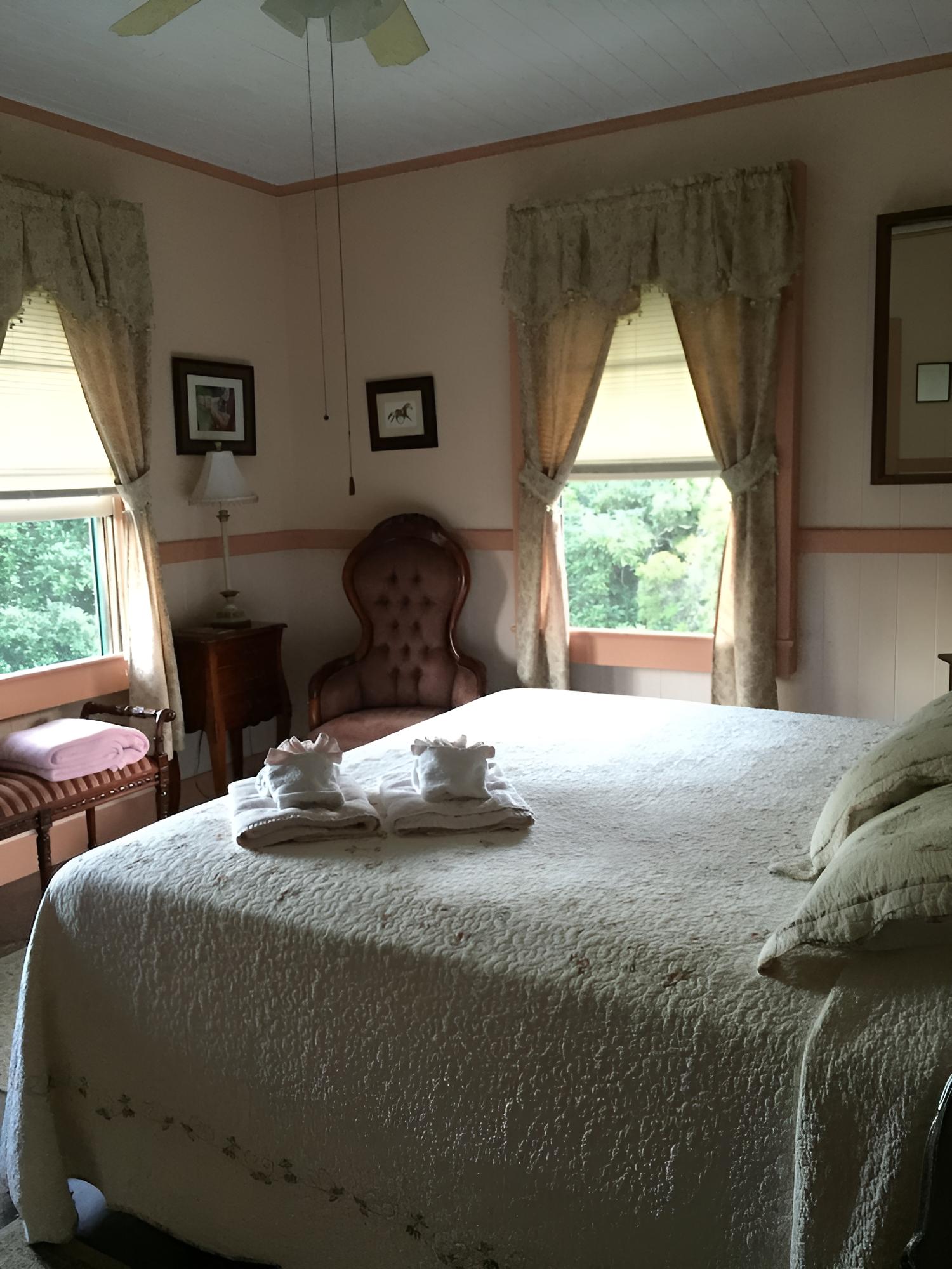 Comfort Double Room, 1 King Bed, Garden View (Peach) photo 2