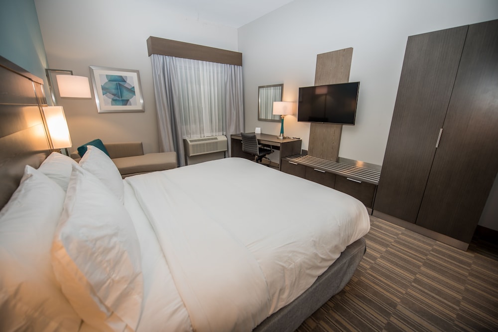 Holiday Inn Express & Suites - Lake Charles South Casino Area by IHG, Φωτογραφία 5