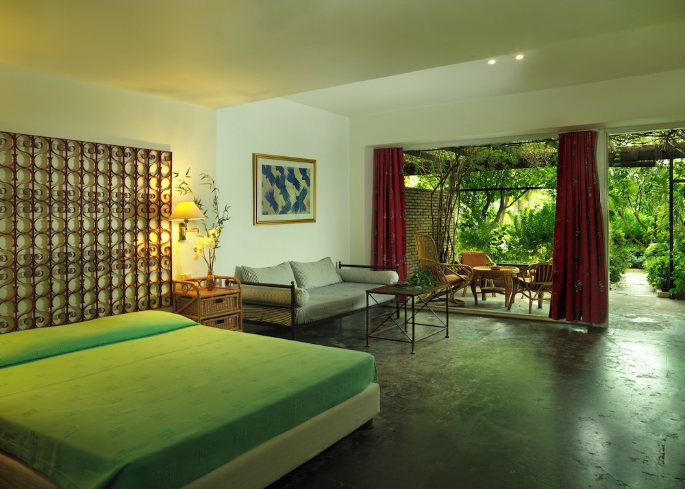 Premium Studio, Terrace, Garden Area photo 3