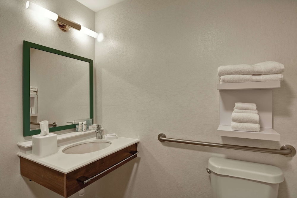 Hampton Inn Columbia-I-26 Airport, Billede 7