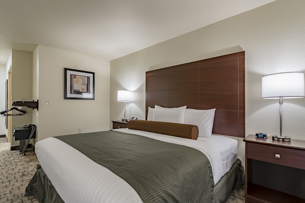 Room, 1 King Bed, Accessible Roll in Shower, Non Smoking photo 2