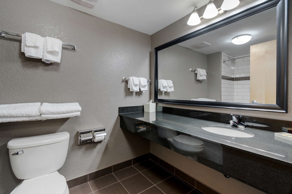Suite, 1 King Bed, Non Smoking, Kitchenette (Pet Friendly) photo 3